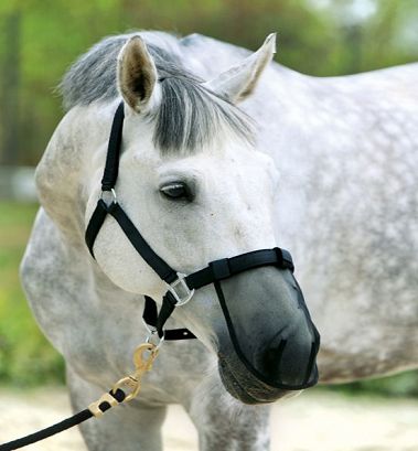 YORK Maska na chrapy, chroniącą przed muchami / 09070