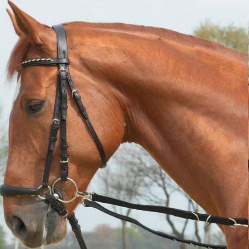 Wypinacze parciane OESEN-STARR