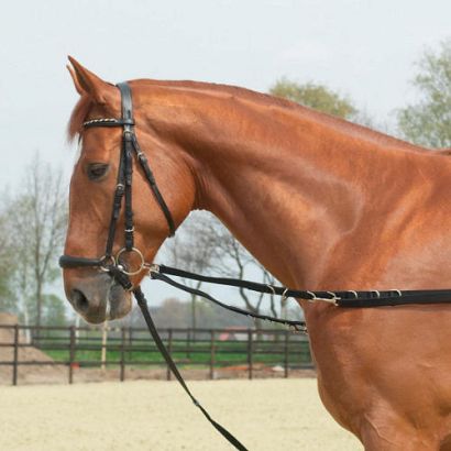 Side-Reins OESEN-STARR / 128002