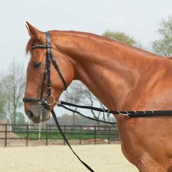 0 Wypinacze nylonowe BUSSE Oesen-Starr / 128002