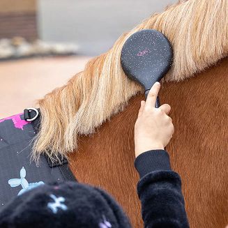 Zestaw szczotek w plecaczku QHP  Isalyn Unicorn Dream / 5720 - 2