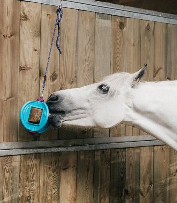 Bizzy ball LIKIT / 15710