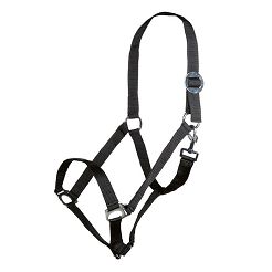 Halter HKM Stars Economy black / 6614