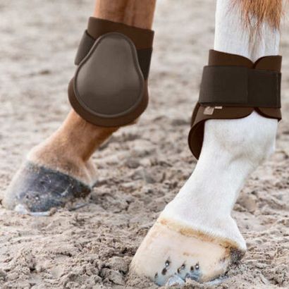 Fetlock Boots HORZE Chicago - pair