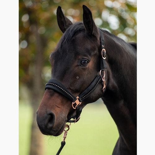 HKM Head collar Berry - Black / 9178
