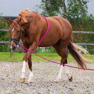 Lunging rope  QHP / 2040 - 2