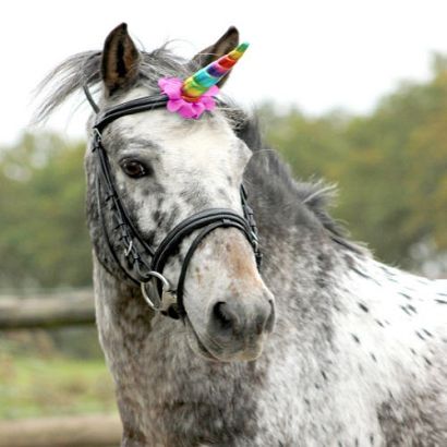 Unicorn horn QHP UNICORN / 8265