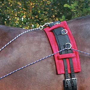 Mocowany do pasa do lonżoania i do popręgu za pomocą karabińczyków.