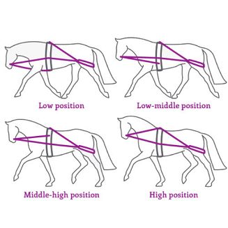 Różne pozycje konia w pracy.