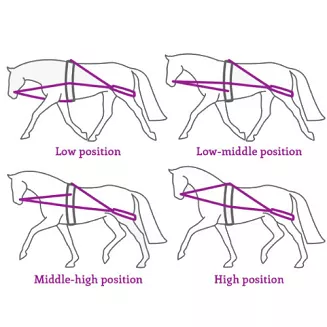 Różne pozycje konia w pracy.