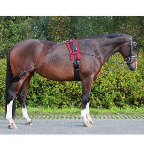 System do lonżowania QHP (wodze treningowe typu Pessoa) - kolor czarny - black