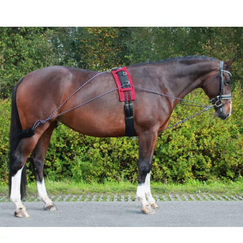 System do lonżowania QHP (wodze treningowe typu Pessoa) - kolor czarny - black