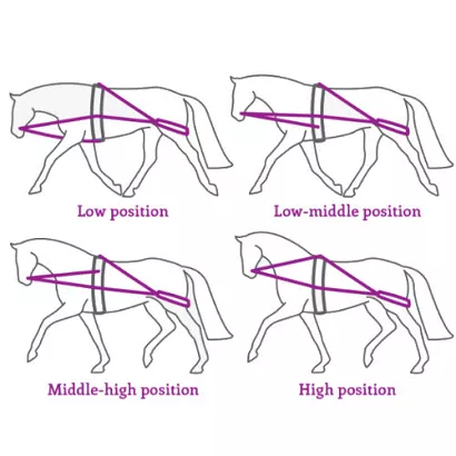 System do lonżowania QHP (wodze treningowe typu Pessoa) / 2015