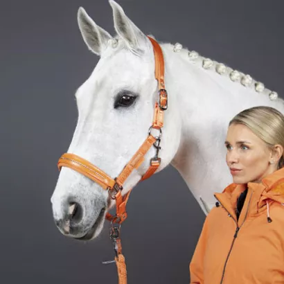 Headcollar ESKADRON Doublepin Satin Crystal, Classic Sports / 420172833
