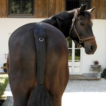 Tail protector COVALLIERO neoprene / 328657