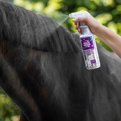 MAGIC BRUSH  ManeCare Oriental Nights / 3223427 - 500 ml