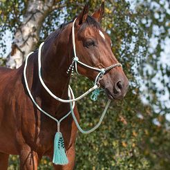 Bitless Rope Bridle with Reins and Balance Rope QHP Liberty- Ice Green / 1096