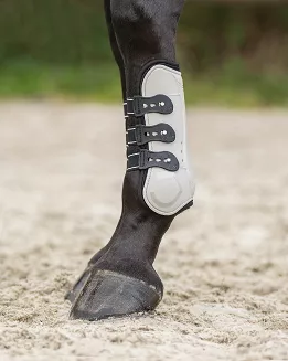 Tendon boots  QHP CHAMPION with elastic pin closure  / 4060 - 6