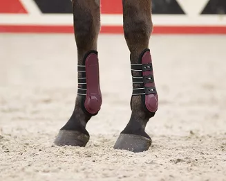 Tendon boots  QHP CHAMPION with elastic pin closure  / 4060 - 8