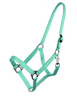 Halter QHP Slide, Turquoise/ 1040 - 2