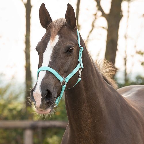 Halter QHP Slide, Turquoise/ 1040