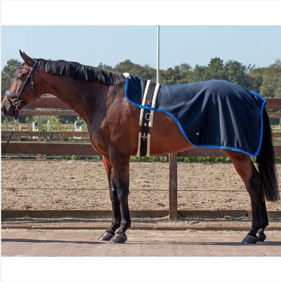 0 Derka do lonżowania QHP Florence / 6279