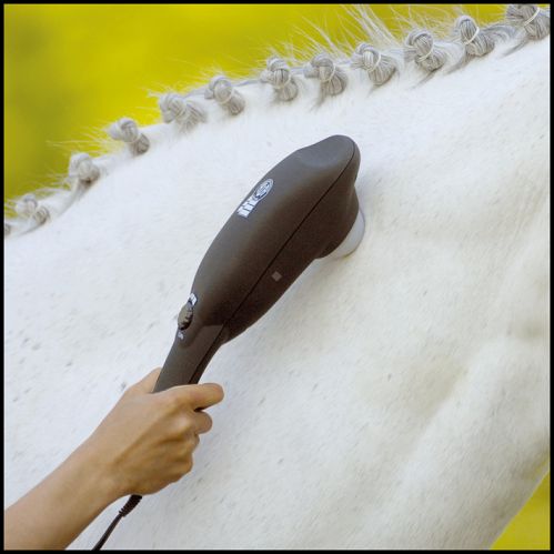 07 AWA Super Dandy Go Relax electric massager