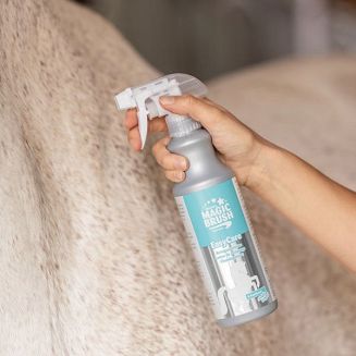 Cleaning lotion MAGIC BRUSH EASY CARE 500ml / 3223441 - 2