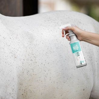 Cleaning lotion MAGIC BRUSH EASY CARE 500ml / 3223441 - 3