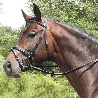 Padded briddle DAW-MAG / 140211  - 2