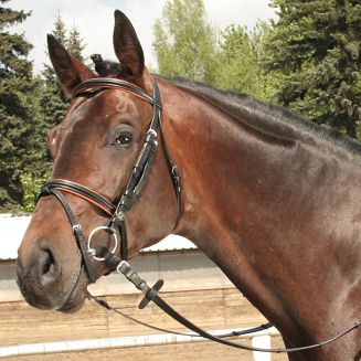 Padded briddle DAW-MAG / 140211  - 3