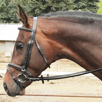 Padded briddle DAW-MAG / 140211  - 4