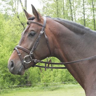 Padded briddle DAW-MAG / 140211  - 5