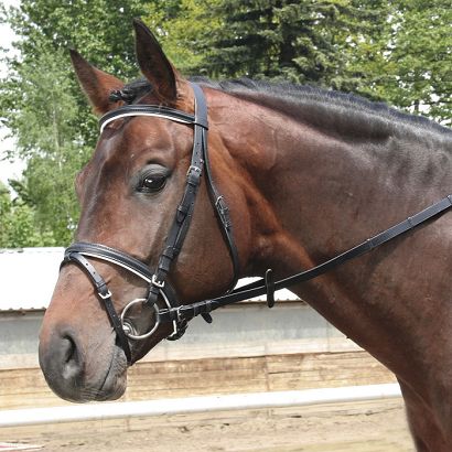 Padded briddle DAW-MAG / 140211 