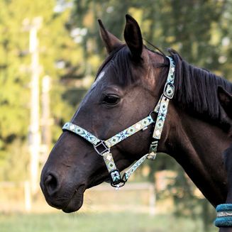 Kantar taśmowy Y West podszywany neoprenem, turkusowy / 18750 - 2