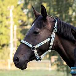 Kantar taśmowy Y West podszywany neoprenem, turkusowy / 18750