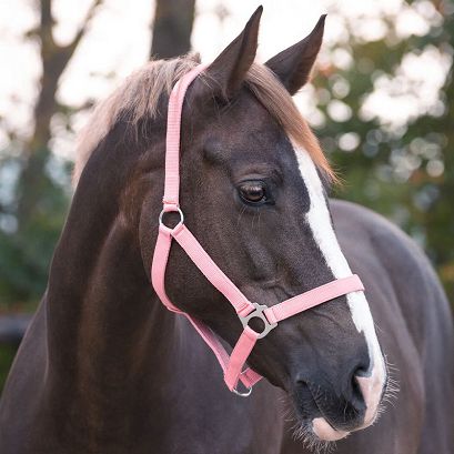 Kantar taśmowy QHP Slide, Flamingo Pink / 1040