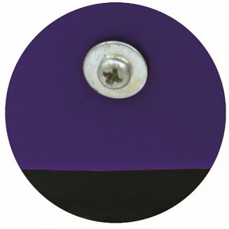 Ściągaczka - Zbierak do wody HIPPOTONIC plastikowy / 700172 kolor fioletowy