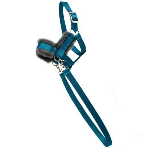 Kantar-ogłowie HOBBY HORSE podszywane futerkiem, z wodzami, turkusowy