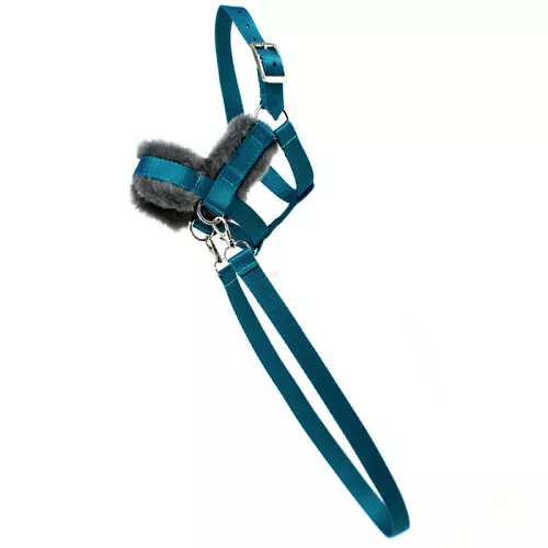 Halter-bridle HOBBY HORSE, lined with fur, with reins, turquoise
