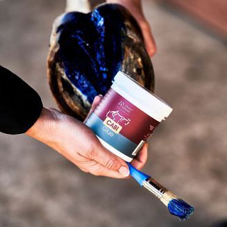 CABI Glue OVER HORSE - 300g - 2