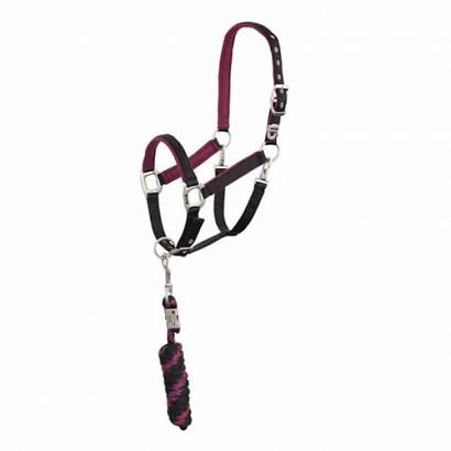 Halter and lead  ANKY®  ATH001
