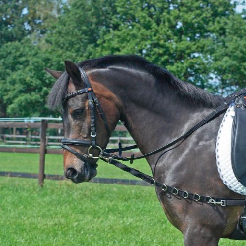 Wypinacze parciane BUSSE OESEN-ELASTIK