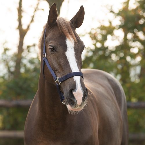 Kantar taśmowy QHP Slide, Black / 1040