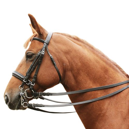 Weymouth padded bridle DAW-MAG / 140141