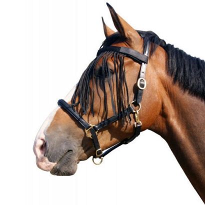 Anti-fly fringe QHP ANTI-FLY / 5022