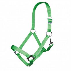 Kantar taśmowy HKM Stars Economy  Bright Green / 66143