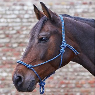 WALDHAUSEN Knotted halter / 50411 - 4