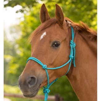 WALDHAUSEN Knotted halter / 50411 - 3