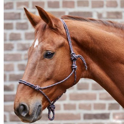 WALDHAUSEN Knotted halter / 50411